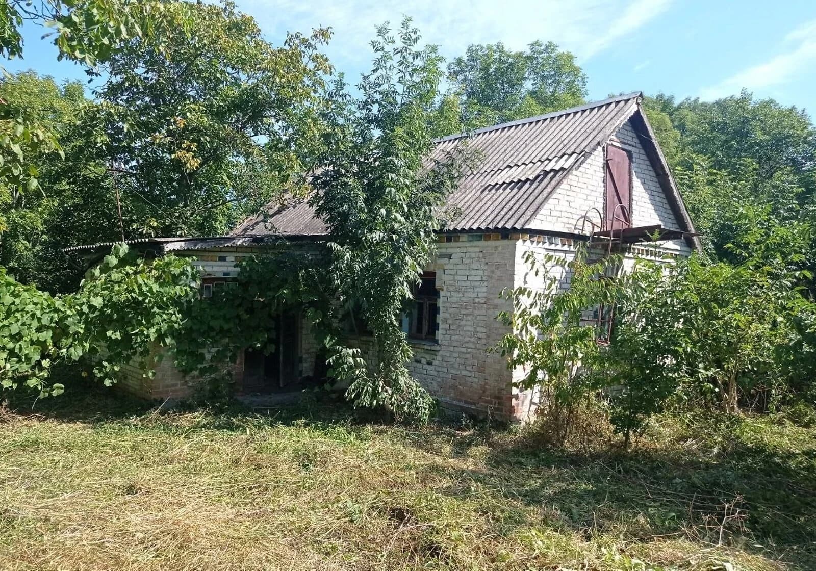 Ділянка 20.5 соток, Хижинці: під житлову забудову, криниця - фото 3