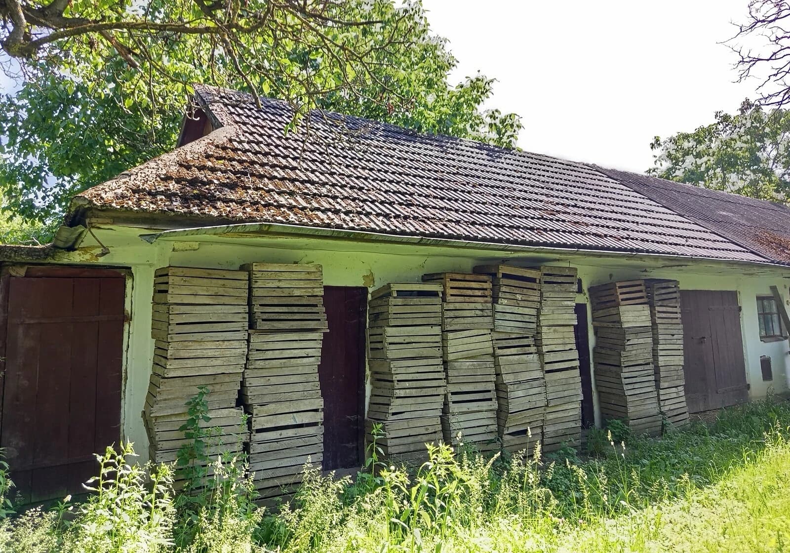Будинок, Стасюки: 20 соток, глинобитні стіни - фото 3