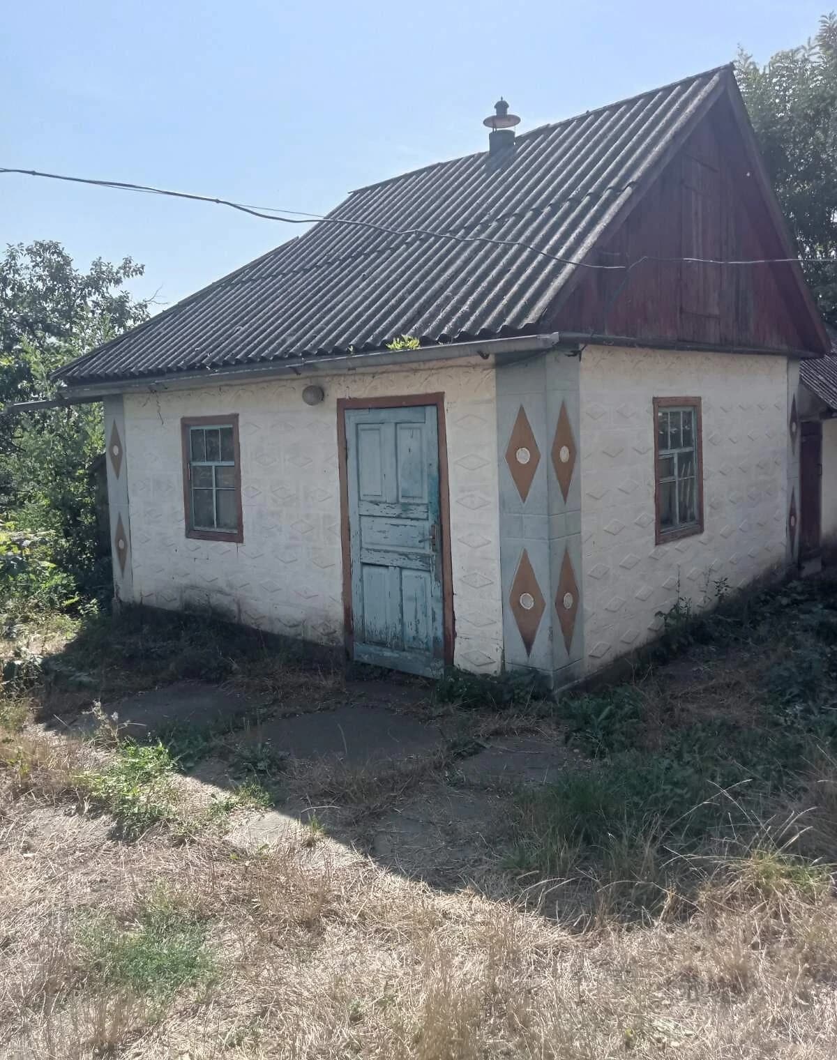 Будинок, Синьки: гараж, 40 соток, єВідновлення - фото 3