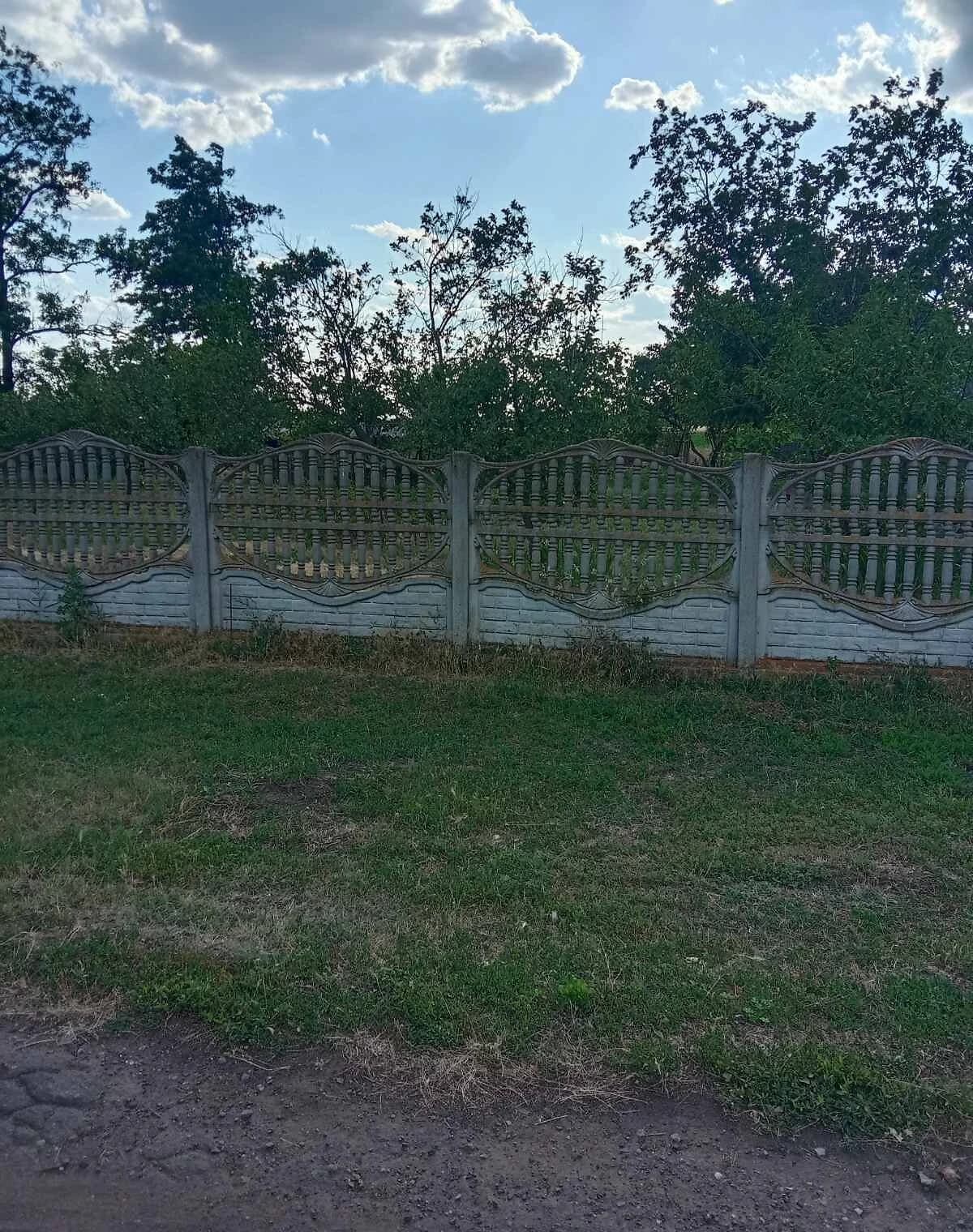 Будинок, Михайлівка (Казанка): гараж, літня кухня, сад - фото 3