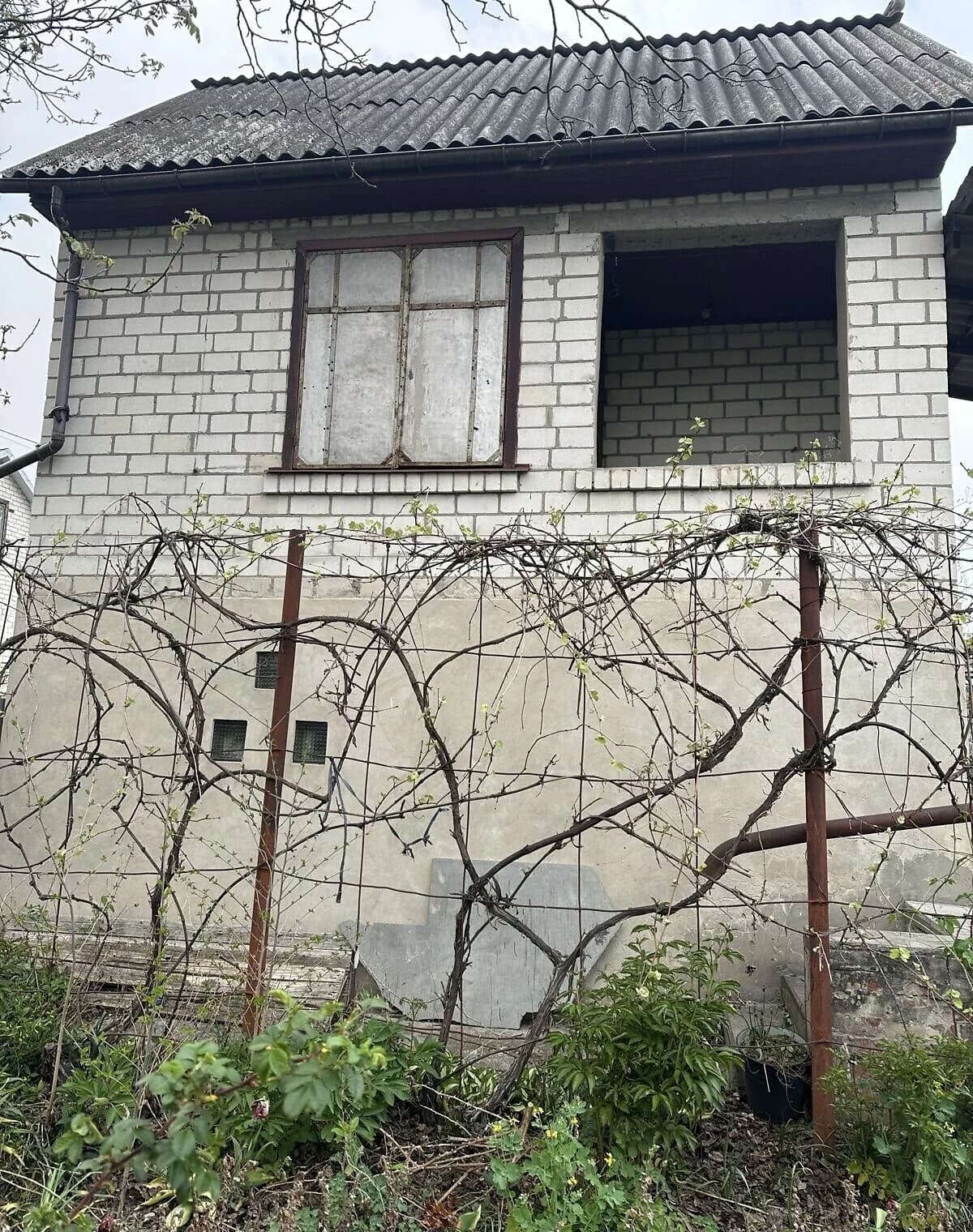 Дача, Жавинка: садове товариство «Горизонт», цегляні стіни - фото 4