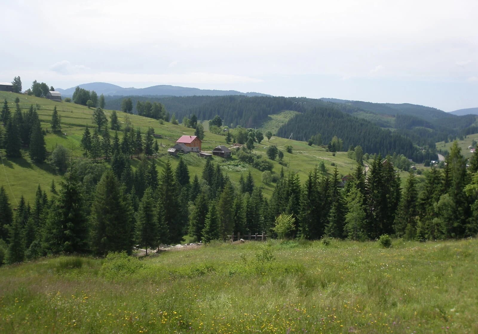 Ділянка 8.5 соток, Вишків: під житлову забудову, під гараж - фото 5