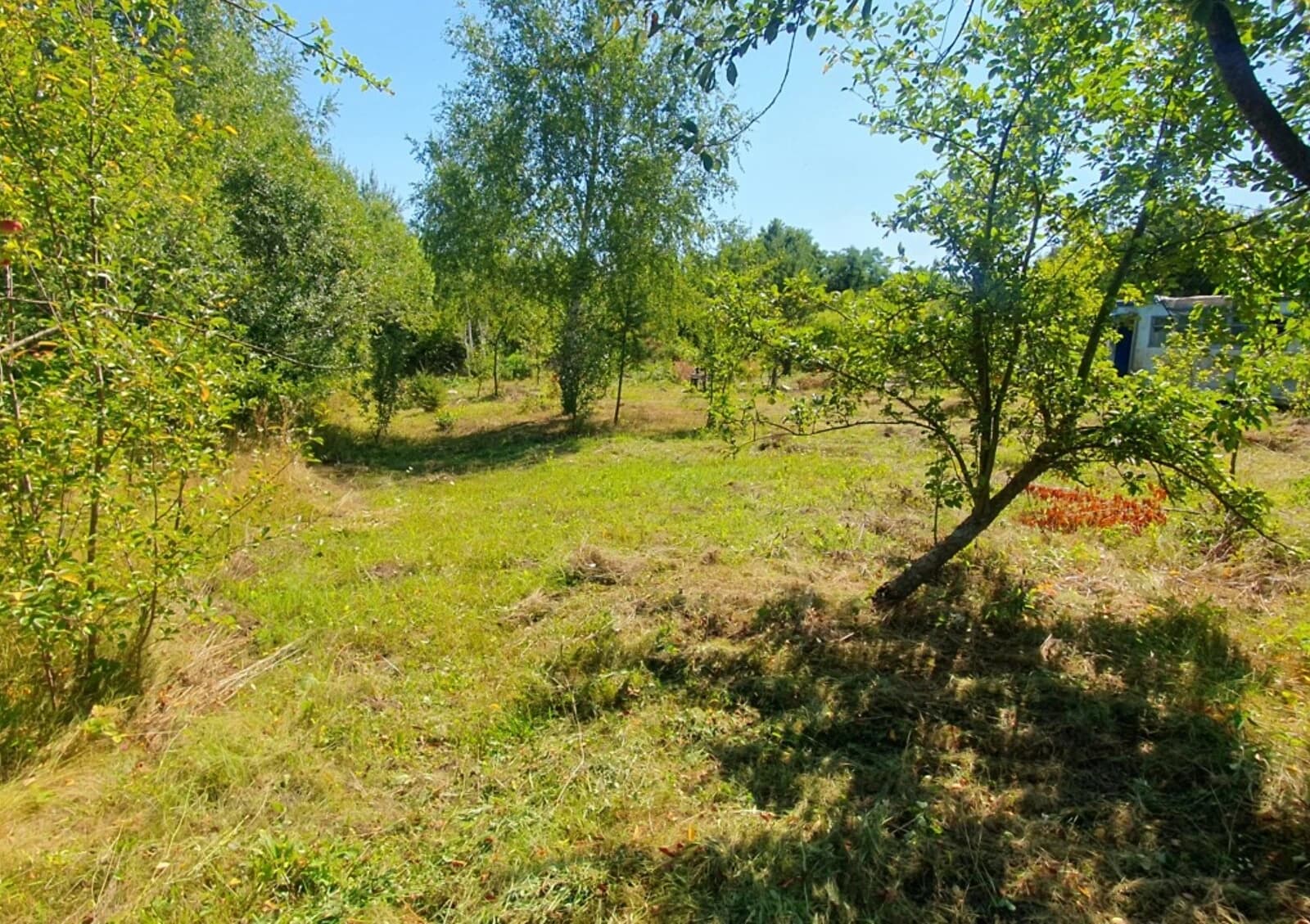Ділянка 8.5 соток, Пашківці: під житлову забудову, чорнозем - фото 3