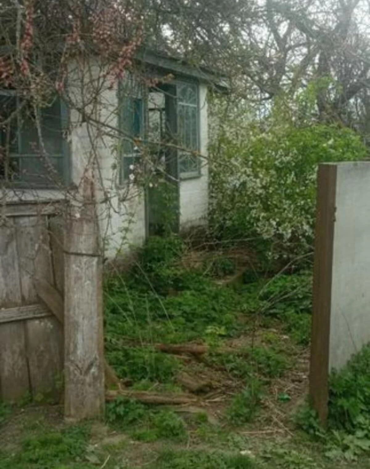 Будинок, Горбачі (Козелець): пічне опалення, 24 сотки, гараж із підвалом - фото 3
