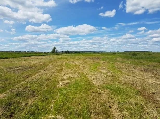 Ділянка 400 соток, Андріївка: 100 м до водойми, чорнозем - фото 1