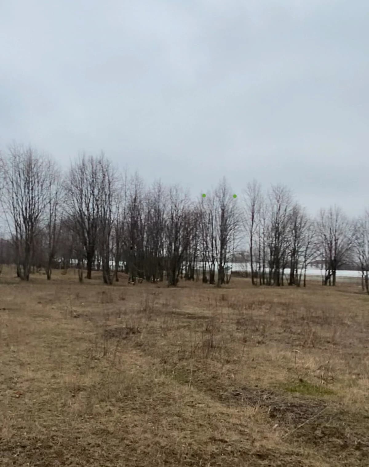 Ділянка 9.39 соток, Новокодацький: під житлову забудову, торг можливий - фото 2