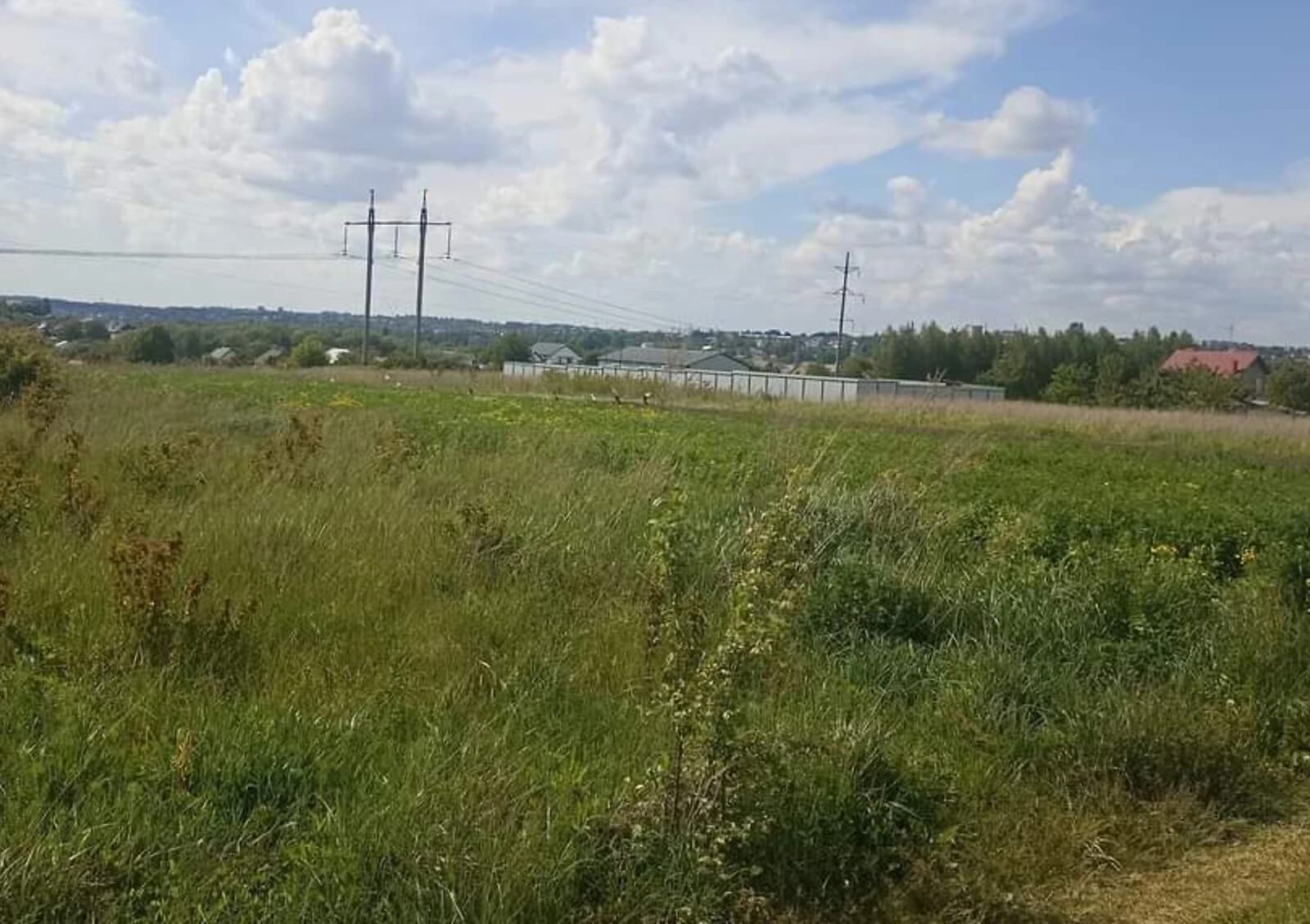 Ділянка 8.8 соток, Ружична: чорнозем, торг можливий - фото 1