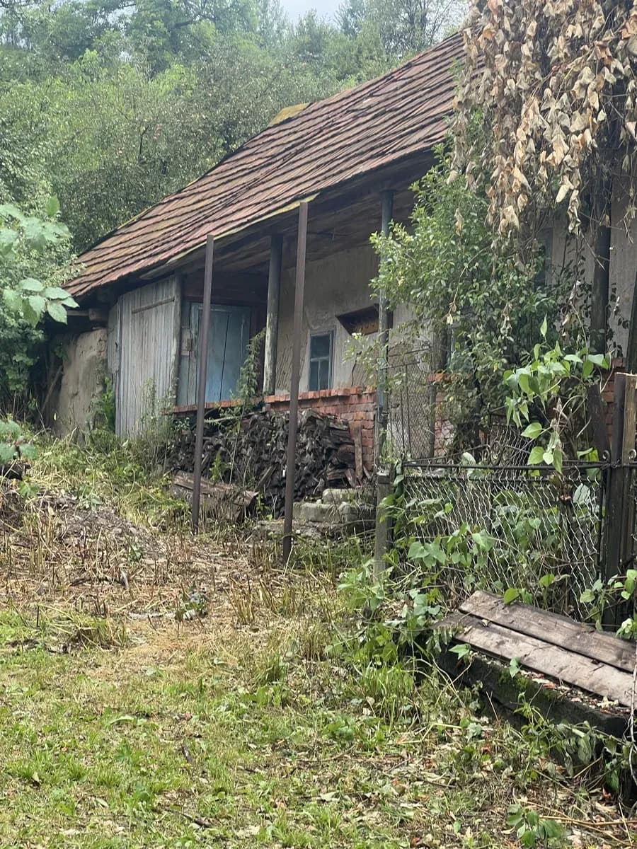 Будинок, Новоселиця: джерельна вода, ліс, річка і гори - фото 1