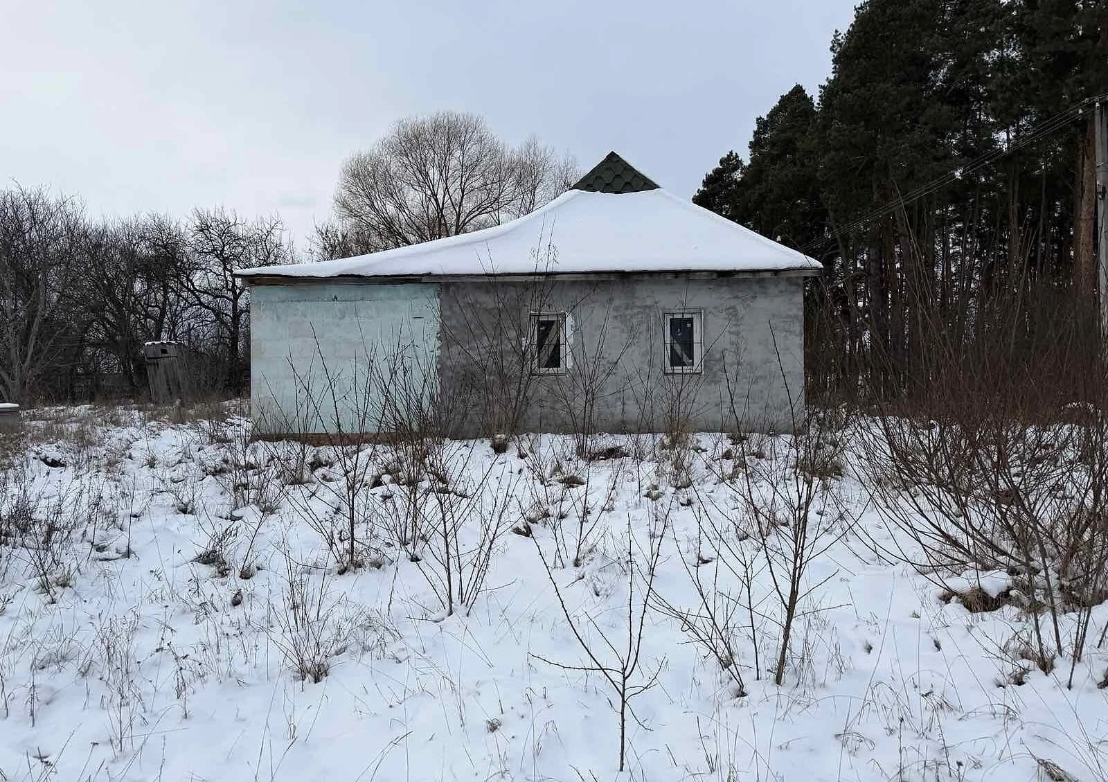Будинок, Корнин: 55 соток, криниця