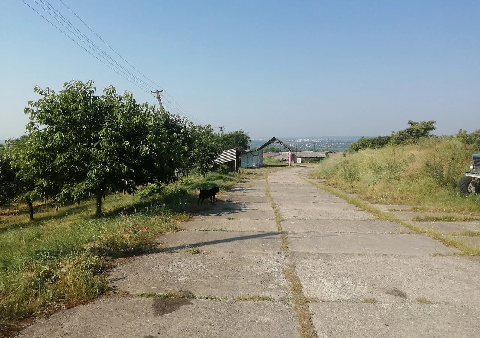 Спеціальне приміщення, Кам'янець-Подільський: 3.5 гектара, сад - фото 3