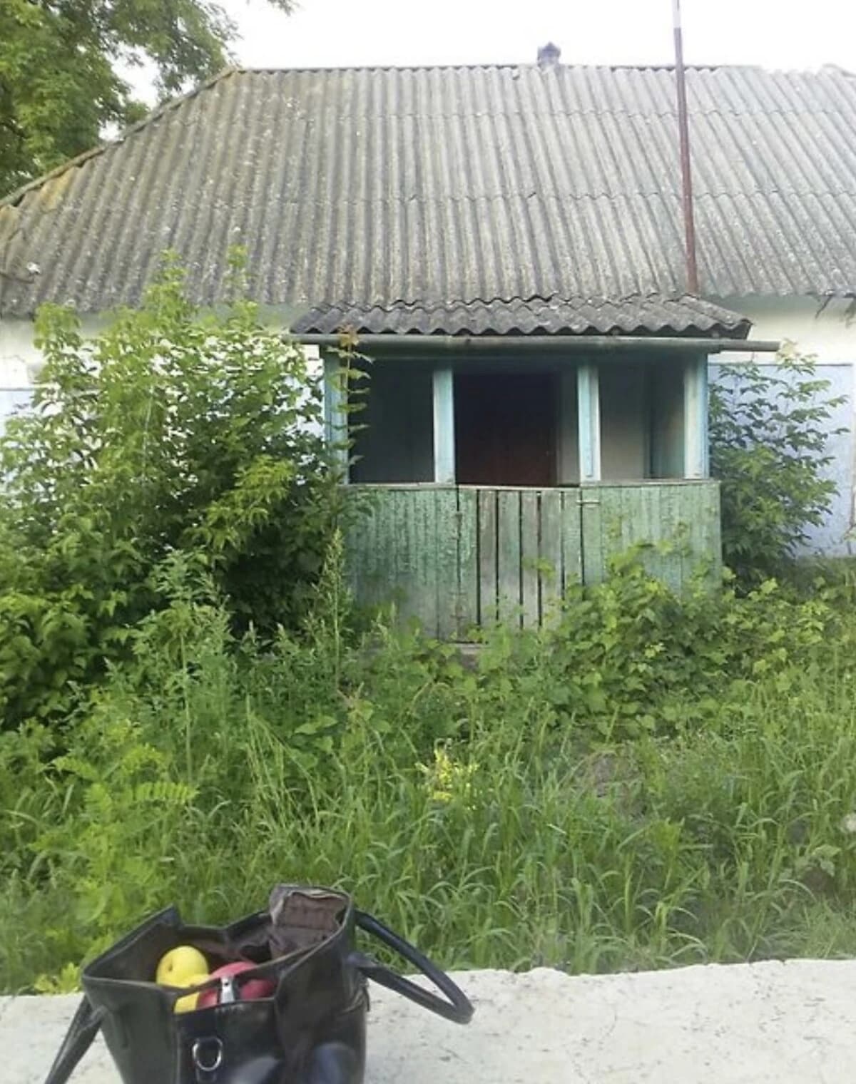 Ділянка 25 соток, Голосків: сад, город, свердловина - фото 2