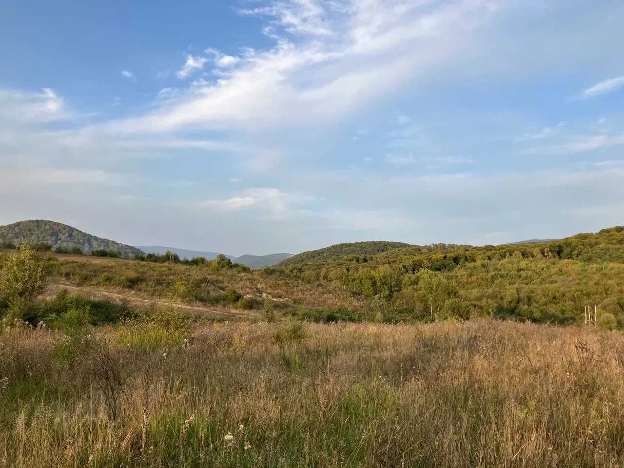 Ділянка 200 соток, Німецька Кучава: панорама, ліс, струмок - фото 3