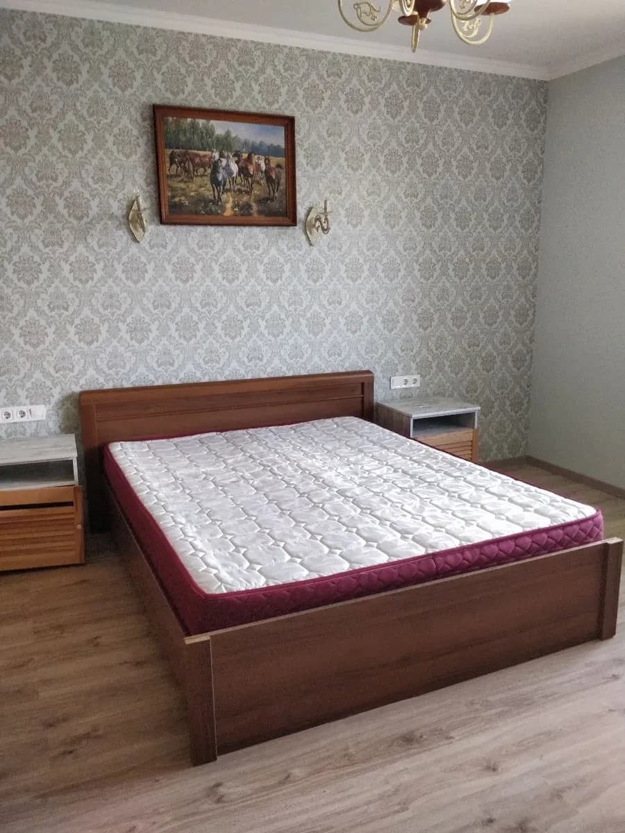 Будинок, Суми: євроремонт, можна з маленьким песиком - фото 3