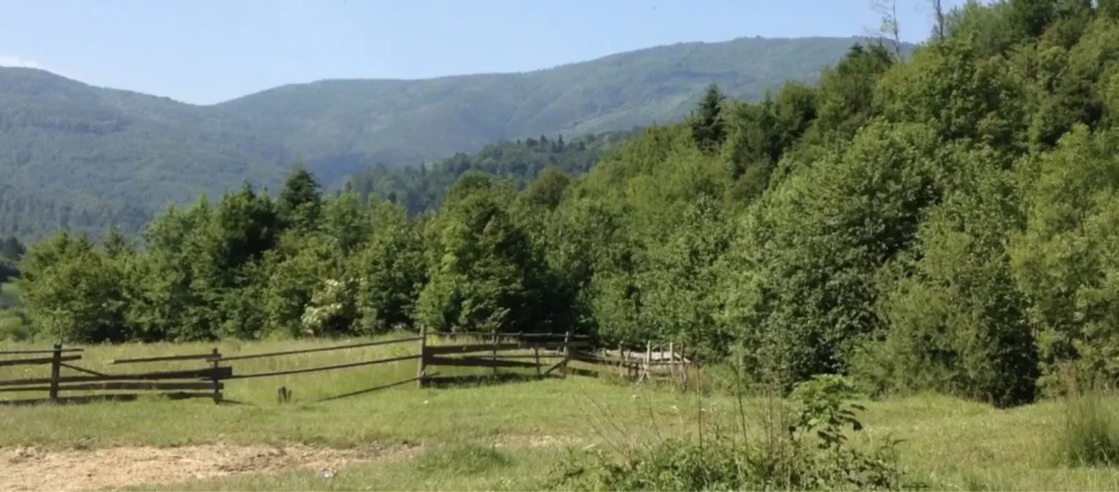 Ділянка 20 соток, Жденієво: біля лісу, струмок, торг - фото 5
