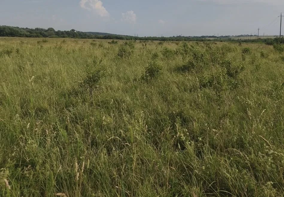 Ділянка 24.20 соток, Гудимівка: електрика, асфальтована дорога - фото 1