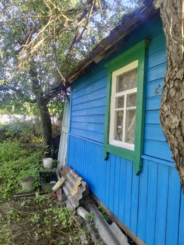 Дача, Чернігів: сад із сортових дерев, світло та вода для поливу - фото 1