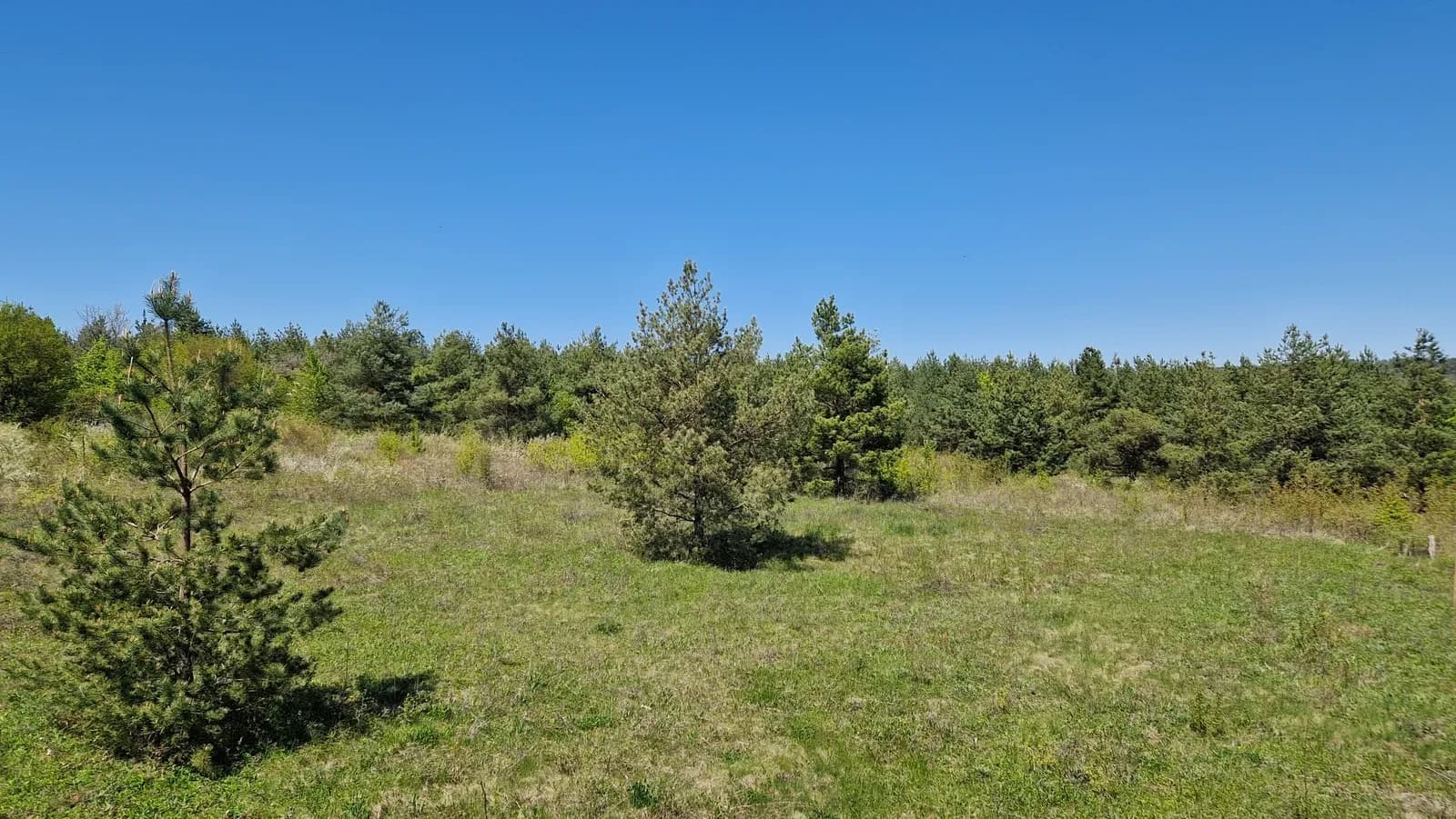 Ділянка 20 соток, Куражин: берег Дністра, електрика, поділ - фото 2