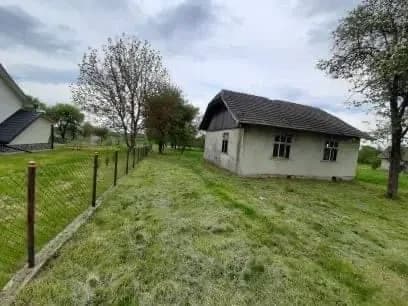 Ділянка 35 соток, Нижні Гаї: деревʼяний будинок, великий сад - фото 2