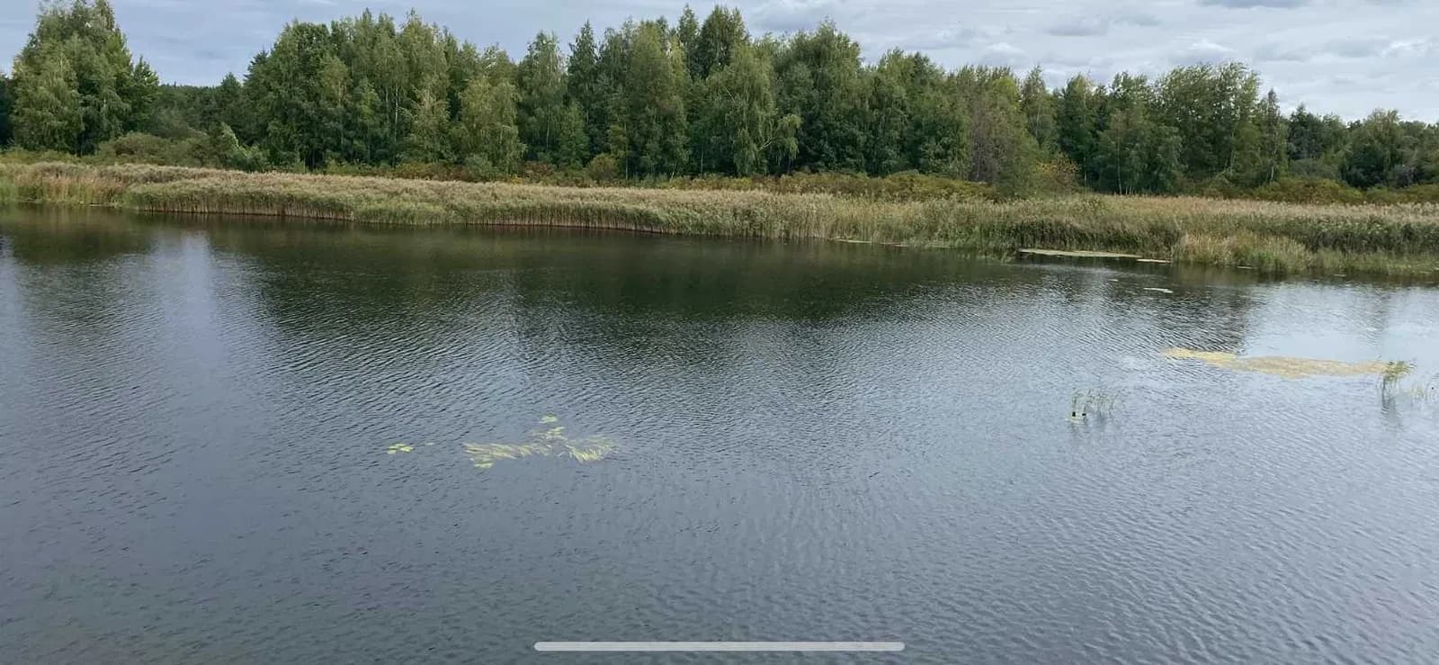 Ділянка 10,50 соток, Кийлів: вихід до Дніпра, власний пляж