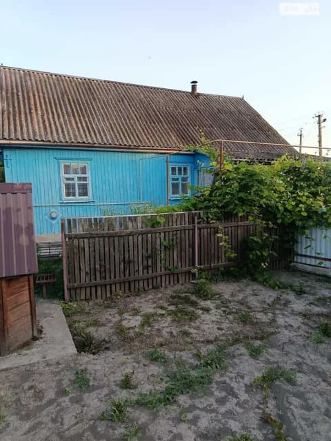 Будинок, Новоселиця (Полонне): цегляні стіни, криниця - фото 2