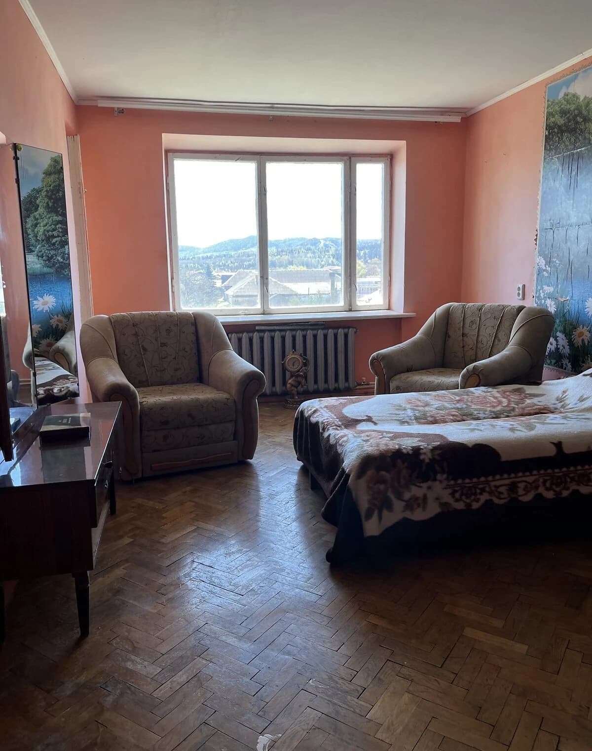 3-кімнатна квартира, Берегомет: опалення без світла, гараж із підвалом - фото 5