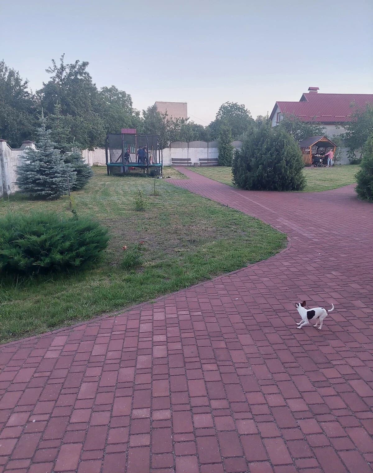2-кімнатна квартира, Звягель: кухня-студія, єВідновлення - фото 2