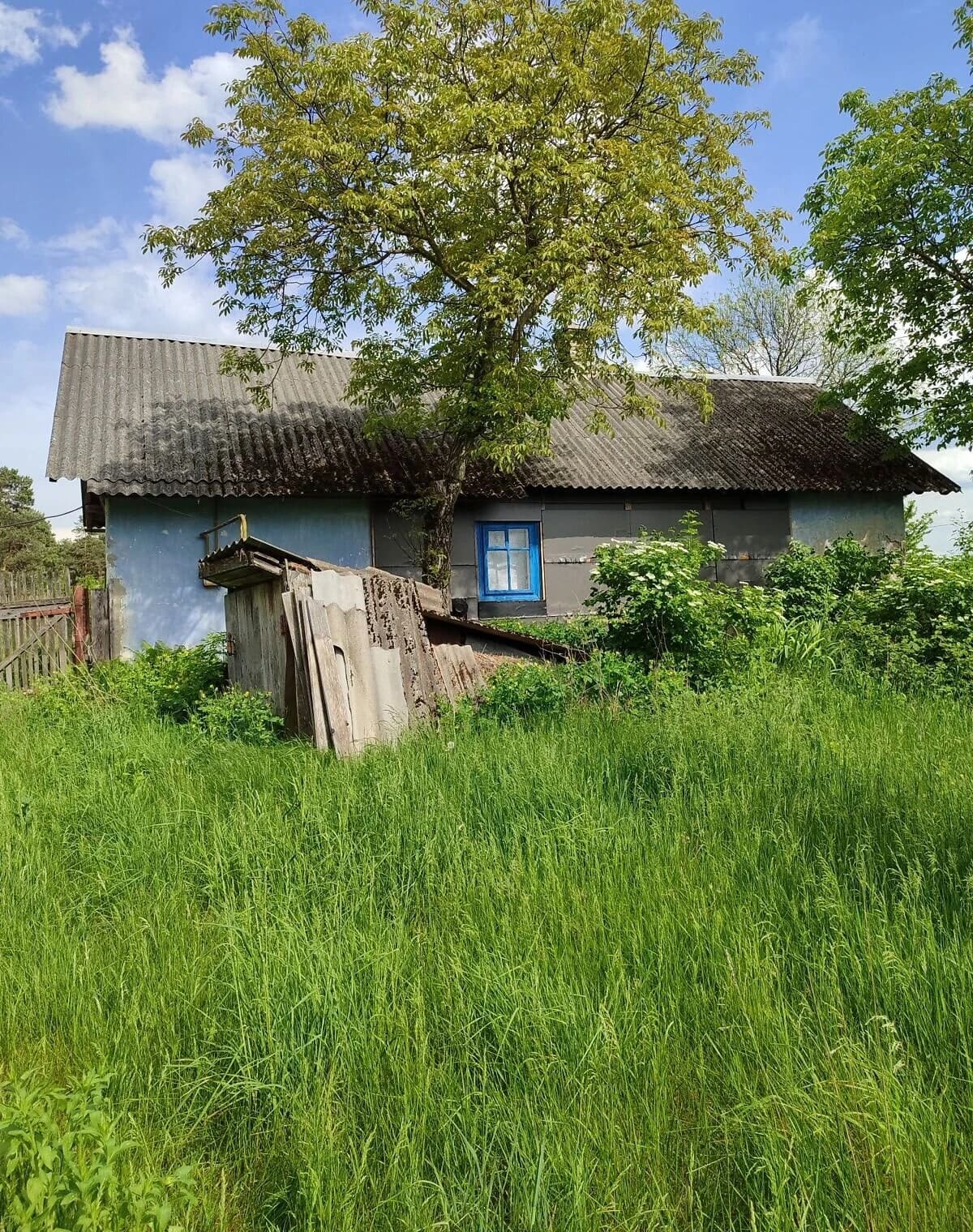 Будинок, Сидинівка: цегляні стіни, ділянка 30 соток - фото 5