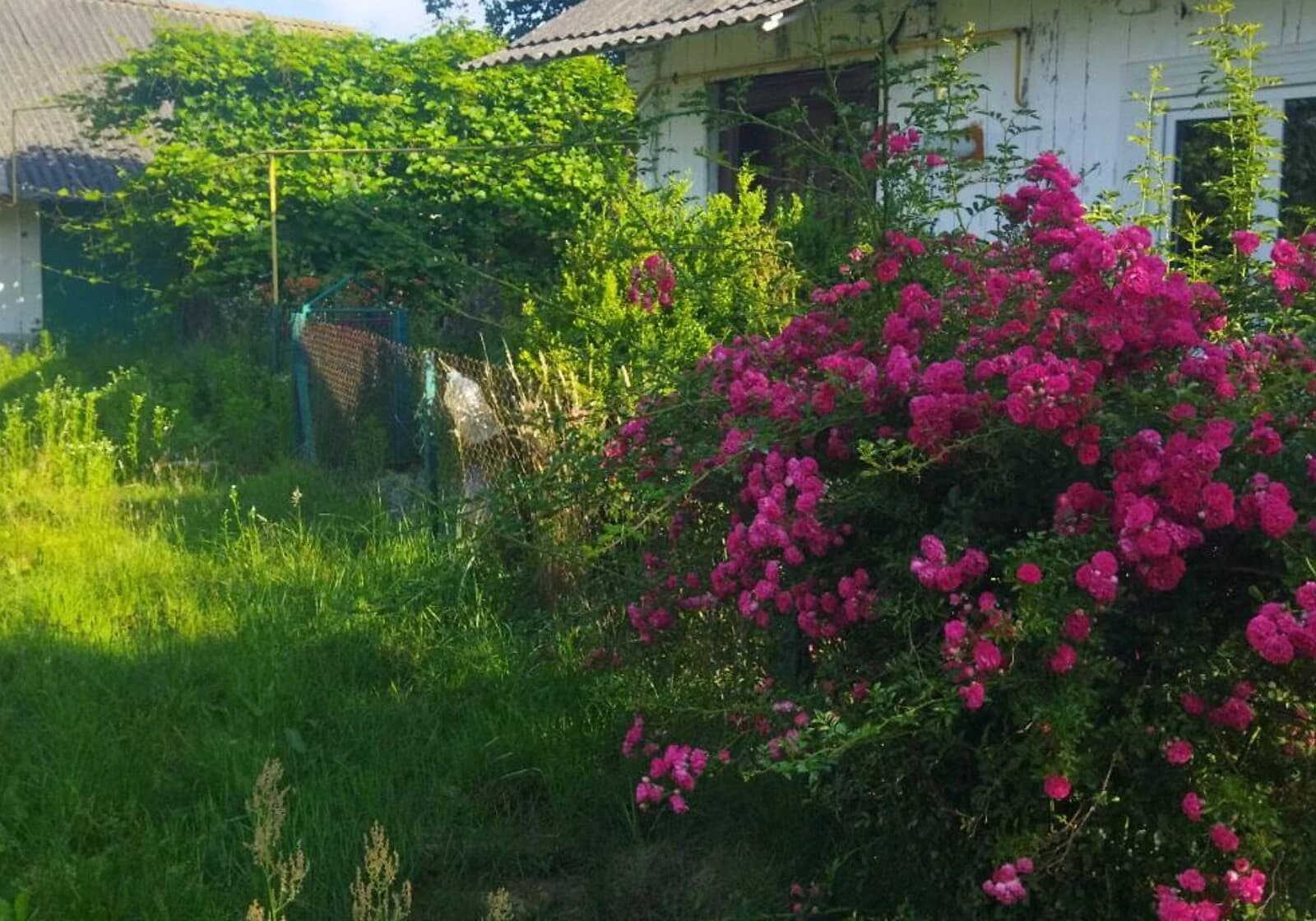 Будинок, Нова Кам'янка: камін, 25 соток, свердловина
