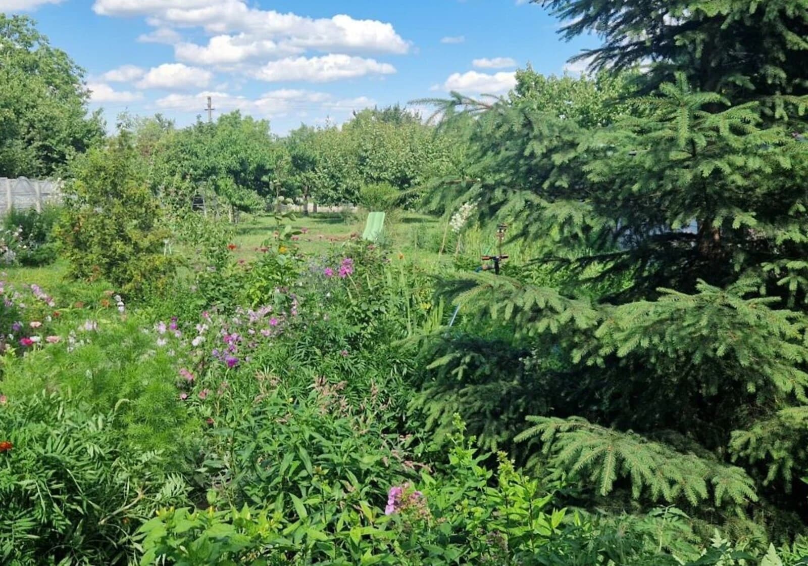Будинок, Миколаївка (Васильківка): гараж, балкон, бесідка - фото 2
