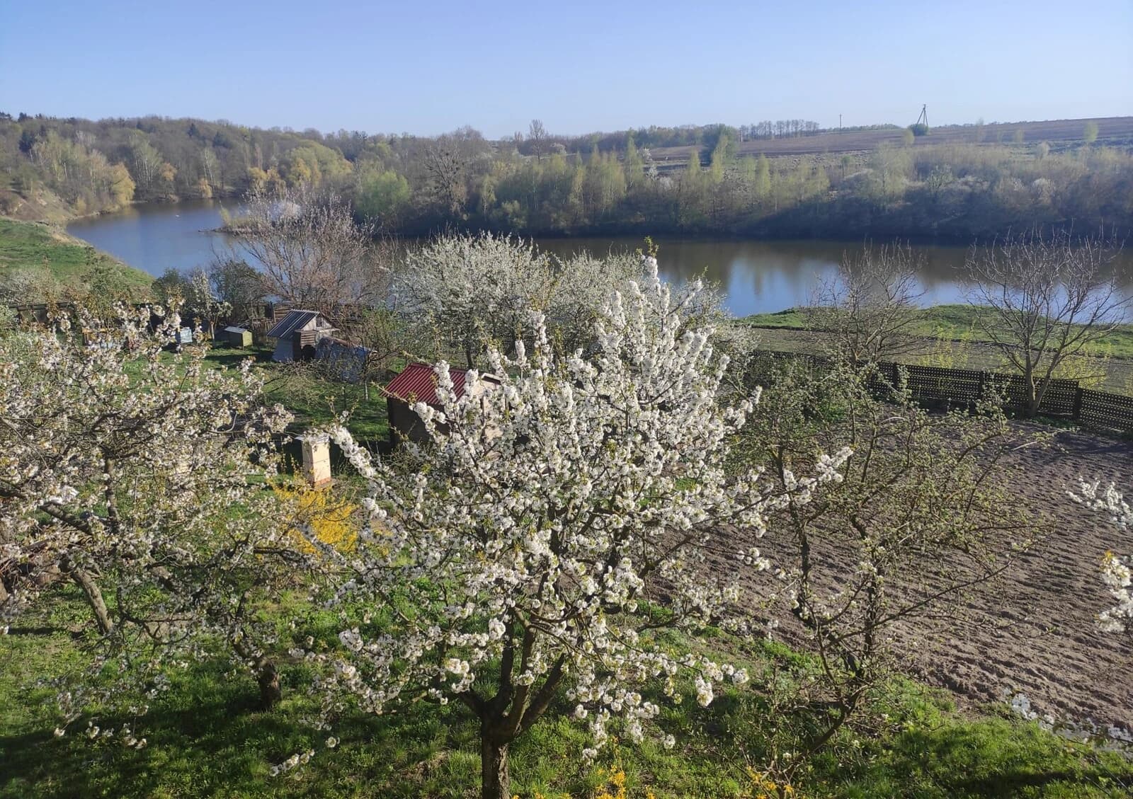 Будинок, Чуднів: веранда, гараж, ділянка 15 соток - фото 5