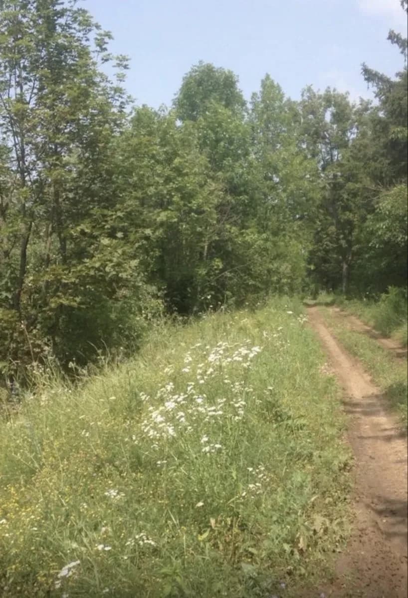 Ділянка 8 400 соток, Покотилівка: під котеджне поселення - фото 1