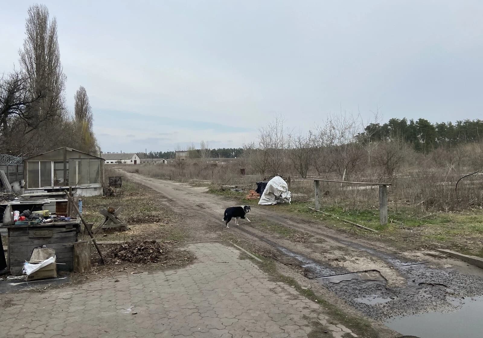Приміщення, Кедина Гора: ангар, гараж, торг можливий - фото 2