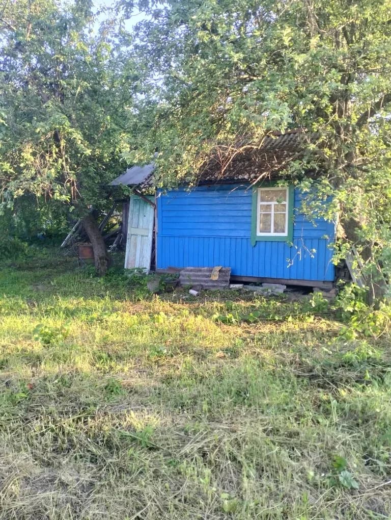 Дача, Чернігів: сад із сортових дерев, світло та вода для поливу - фото 2
