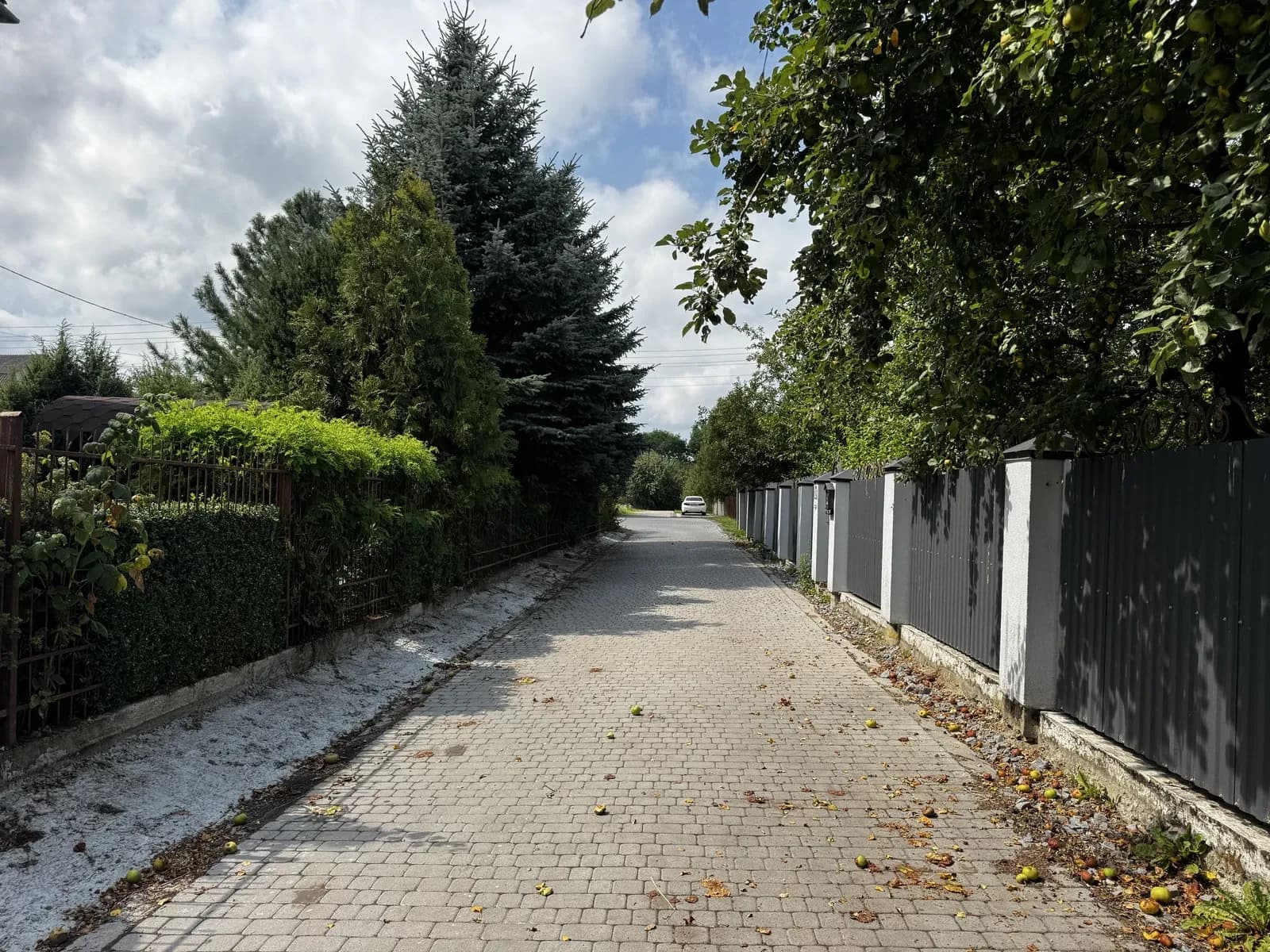 Ділянка 0.32 соток, Басівка: під будівництво, світло, газ і вода на межі - фото 3