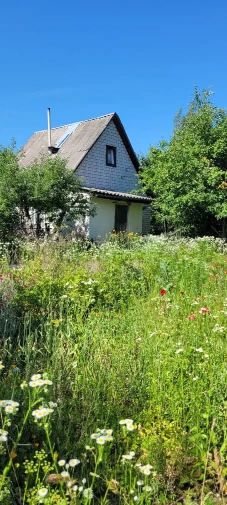 Дача, Поташня: біля лісу, теплиця - фото 2
