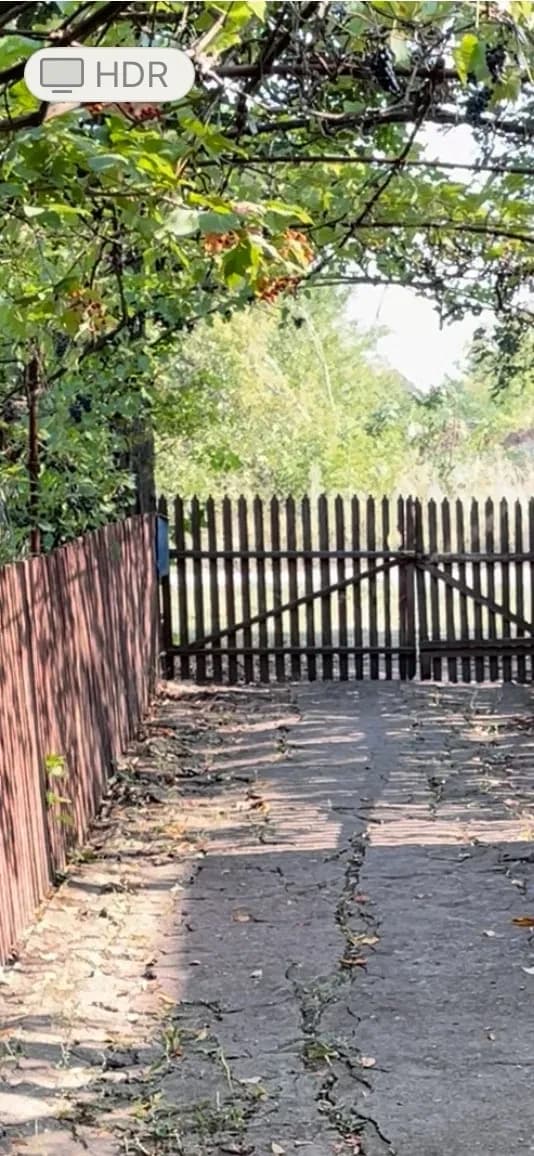 Будинок, Данилівка: 15 соток, господарські споруди, торг - фото 2