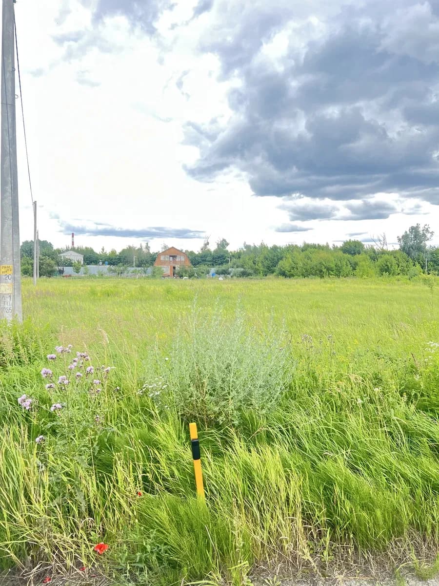 Ділянка 0.20 соток, Зазимʼє: газ та світло, асфальтована дорога - фото 3