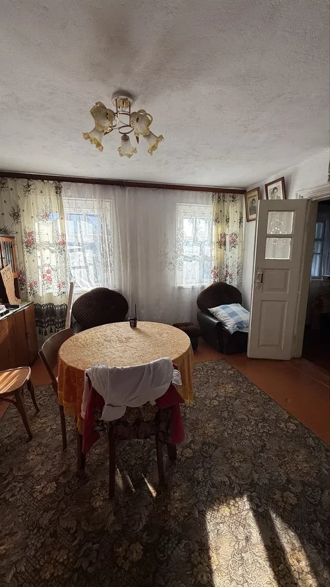 Будинок, Нова Прилука: погріб, літня кухня, вулики - фото 3