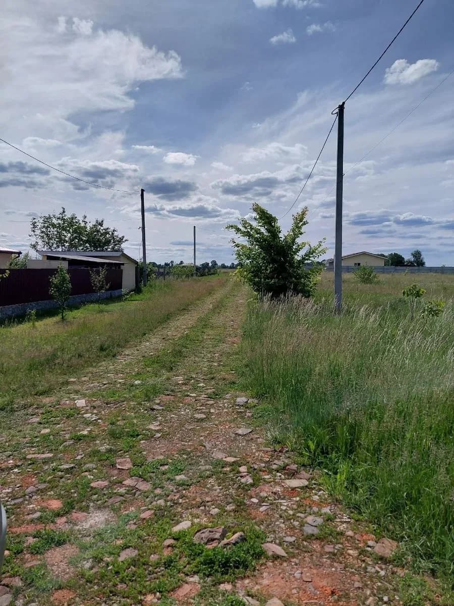 Ділянка 11,8 соток, Затишне: під житлову забудову, електрика поруч - фото 2