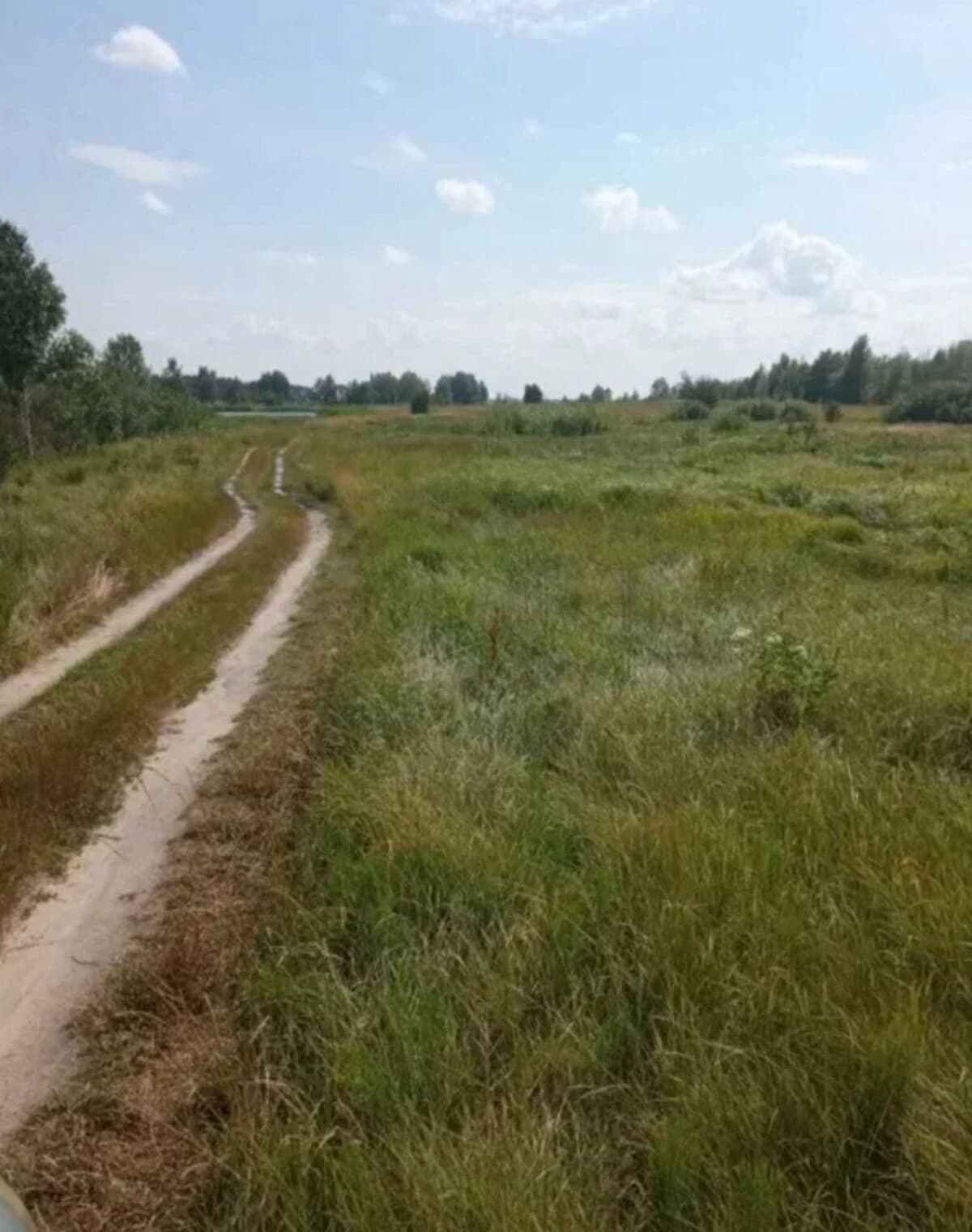 Ділянка 55 соток, Небрат: сільськогосподарська, рівнинна - фото 4