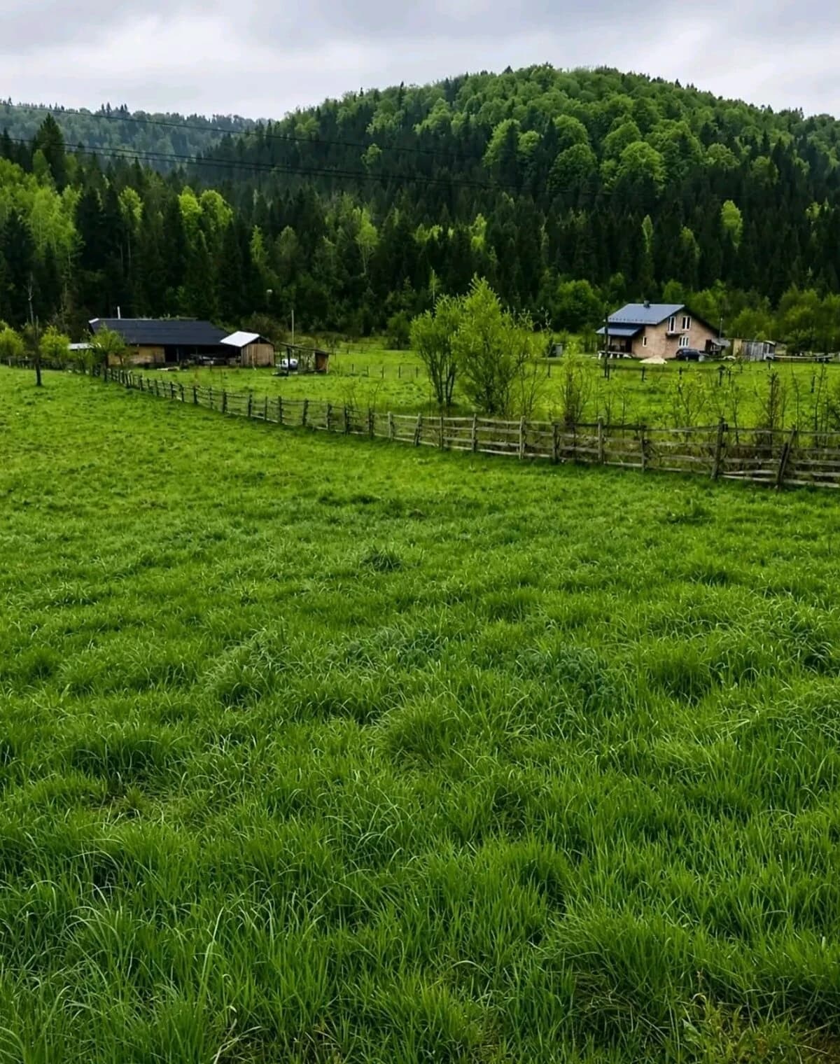 Ділянка 35.85 сотки, Витвиця: під житлову забудову, фундамент - фото 5