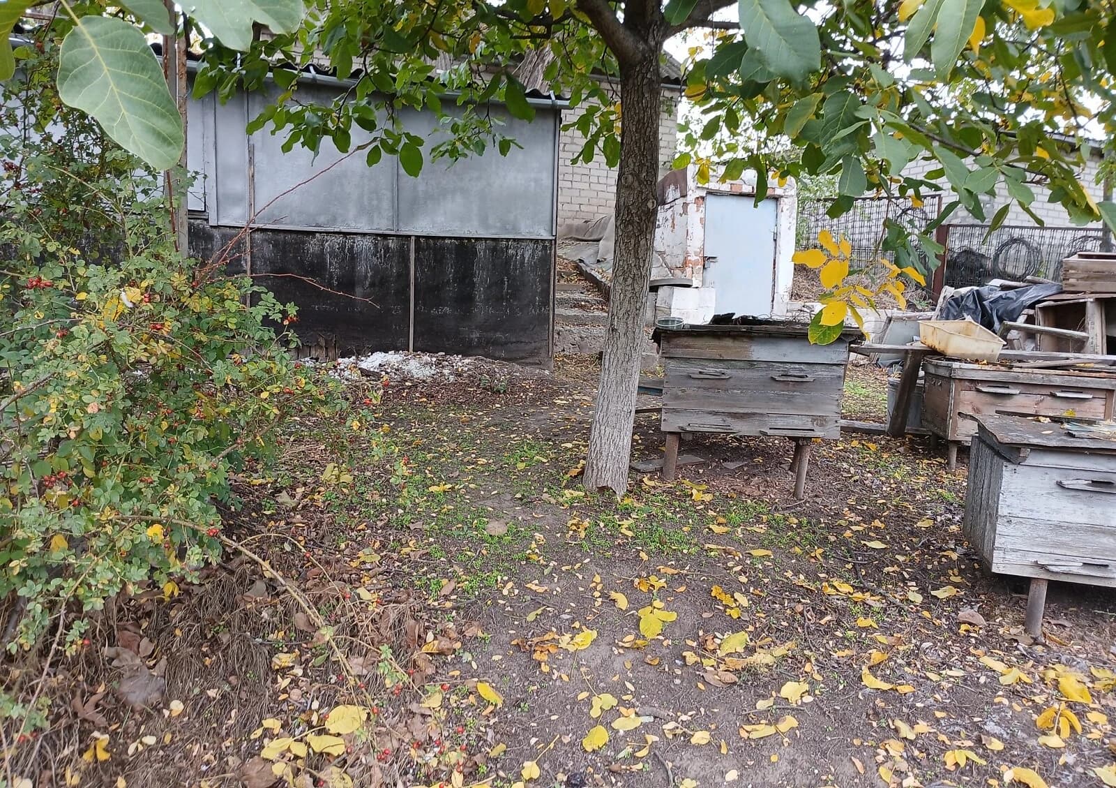 Ділянка 32 сотки, Спаське: чорнозем, сад і виноградник - фото 4