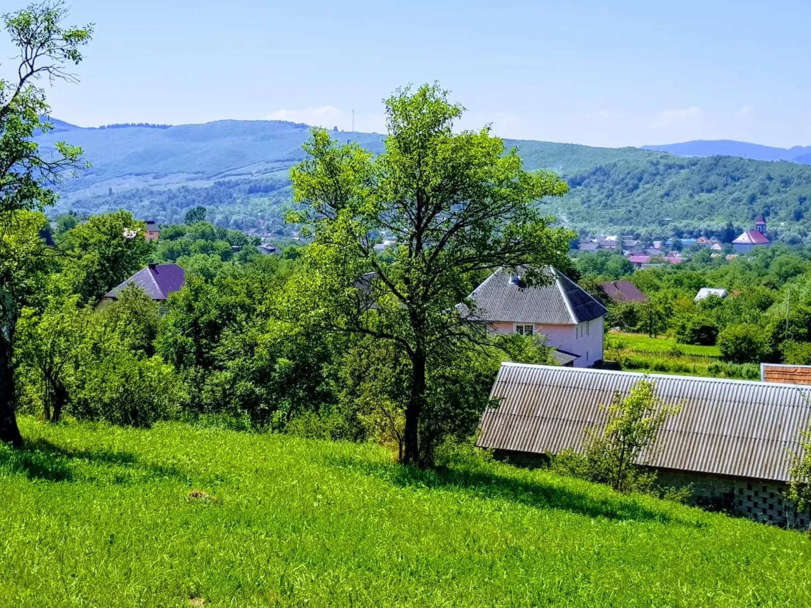 Ділянка 52 соток, Великий Бичків: під забудову, електрика біля межі - фото 5