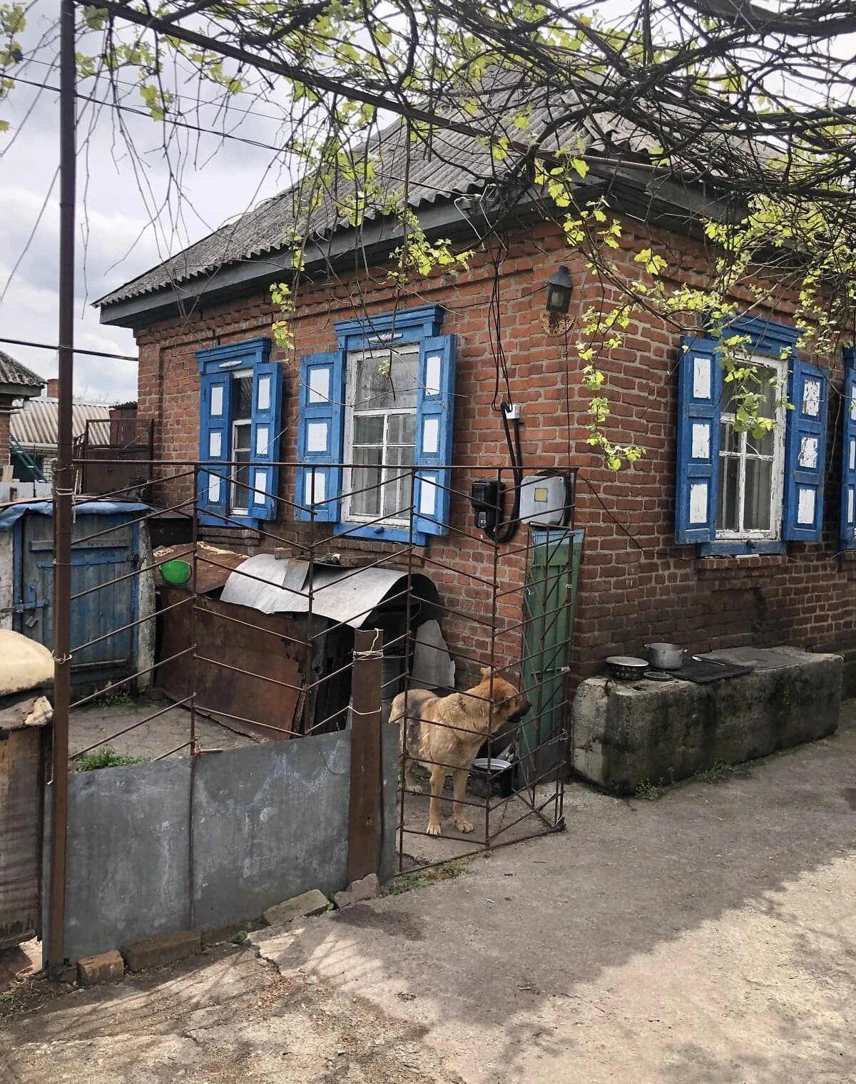 Будинок, Білецьківка: гараж із підвалом, єОселя - фото 2