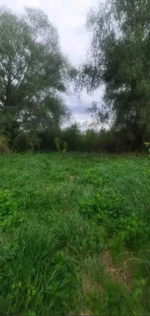 Ділянка 7 соток, Зазим'я: житлове будівництво, світло і свердловина - фото 4