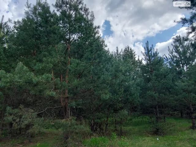 Ділянка 10 соток, Терентіївка: під житлову забудову, під садівництво - фото 5