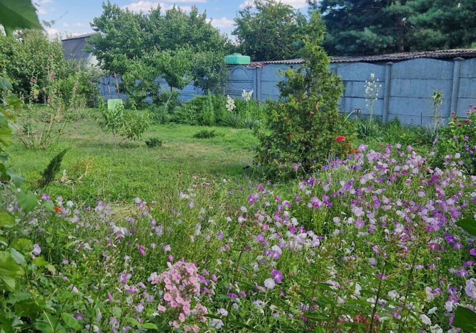 Будинок, Миколаївка (Васильківка): гараж, балкон, бесідка - фото 3
