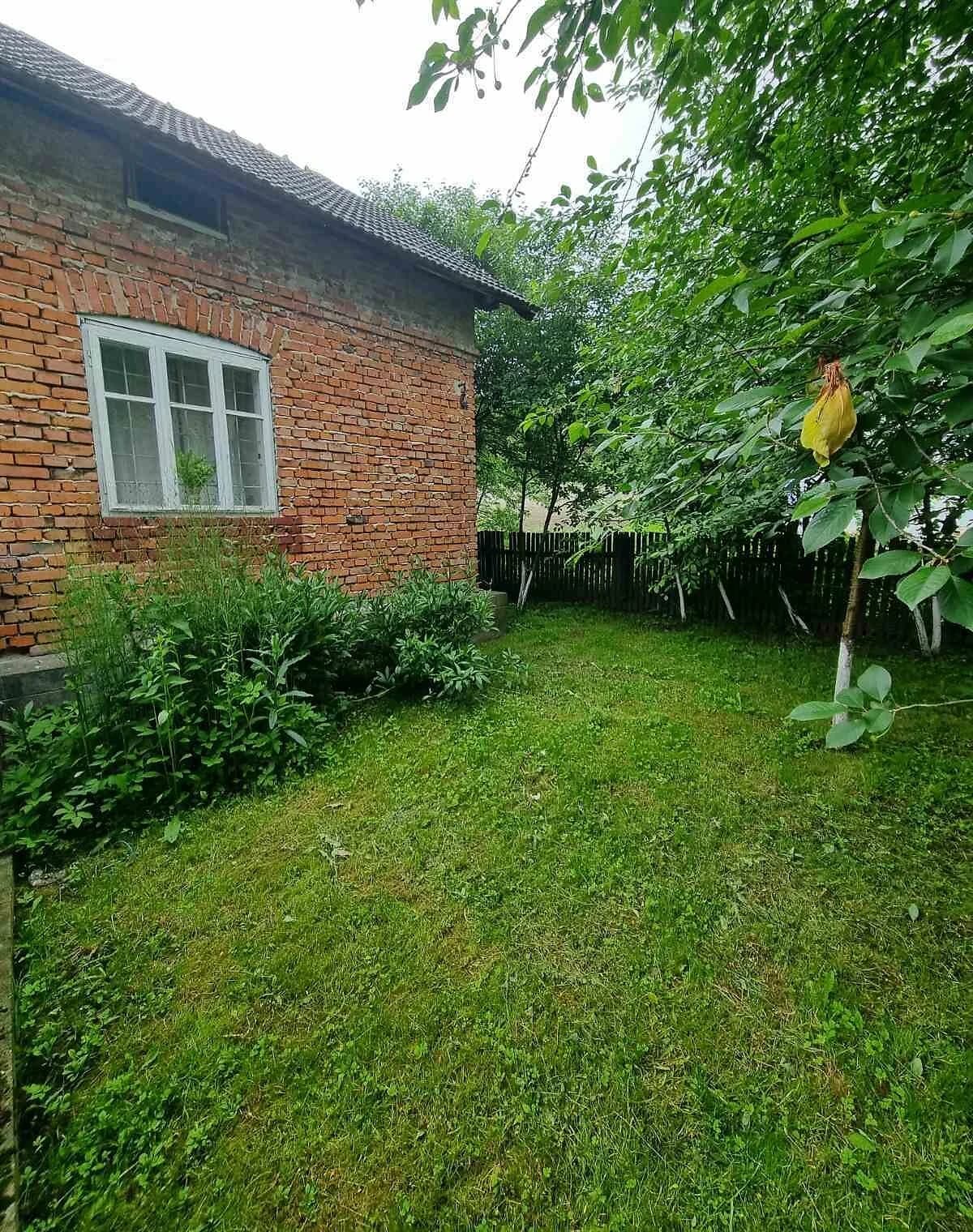 Будинок, Болотня: 50 соток, свердловина, індивідуальне опалення - фото 4