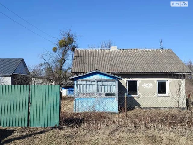Будинок, Улашанівка: свердловина, літня кухня, сад - фото 2