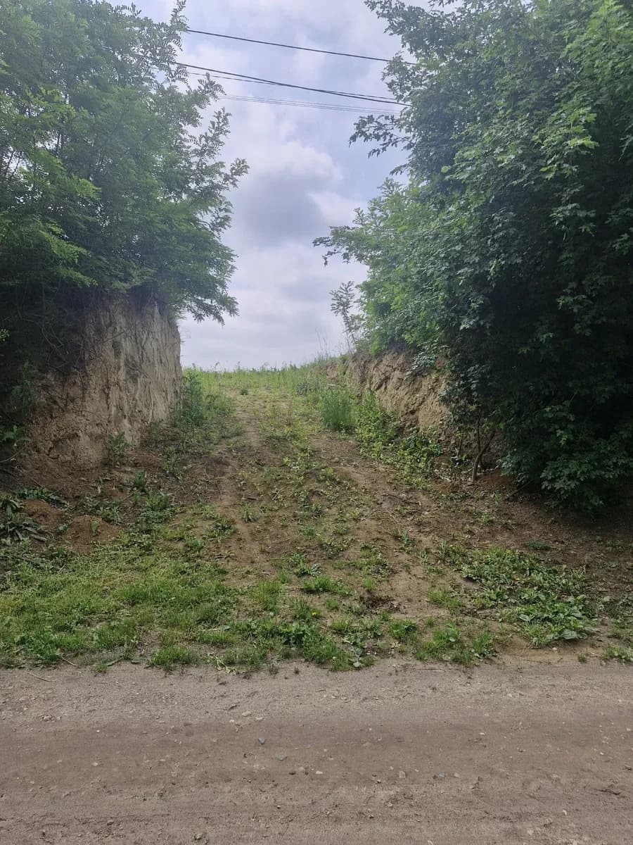 Ділянка 17 соток, Гребінці, Куликів: 30 кВт, обмін на авто